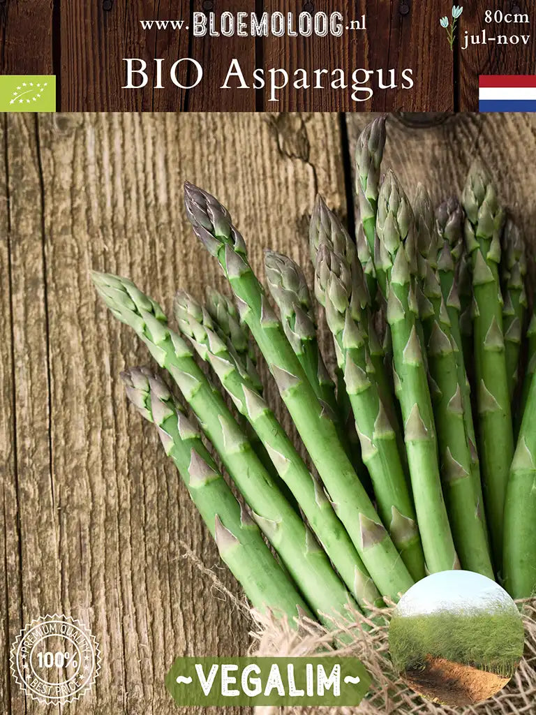 Bio Asparagus 'Vegalim' | Biologische groene aspergeplanten Bio Asparagus 'Vegalim' | Biologische groene aspergeplanten
