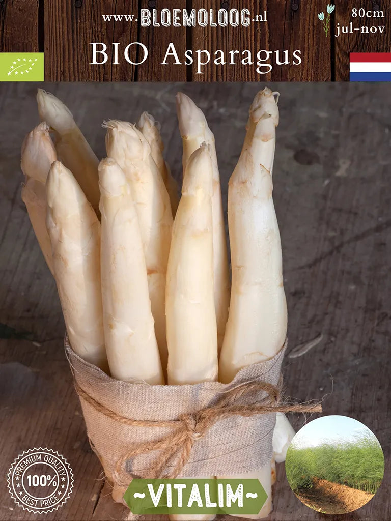 Bio-Asparagus 'Vitalim'