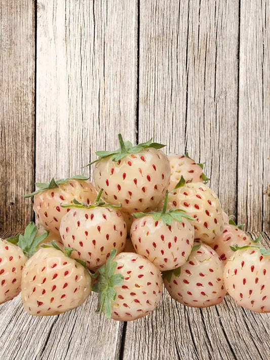 Bio Fragaria ananassa 'White Pineberry' - Biologische witte ananas aardbei | Bloemoloog