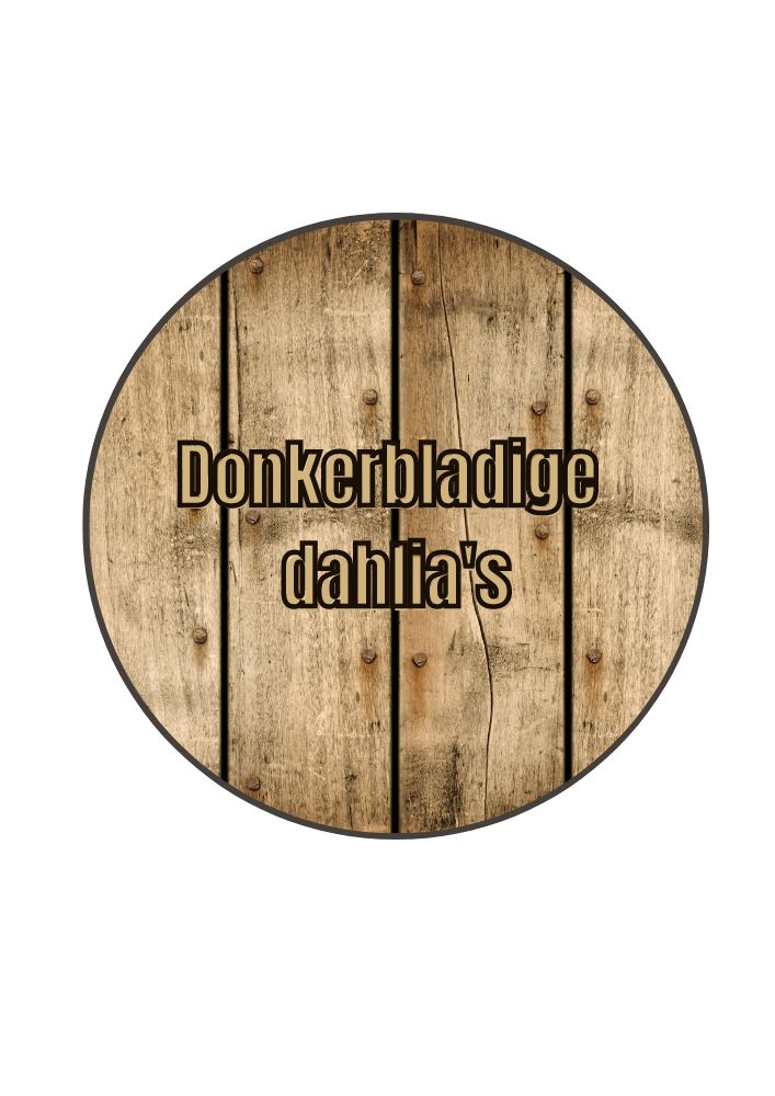 Biologische donkerbladige dahlia's kopen van Bloemoloog.nl