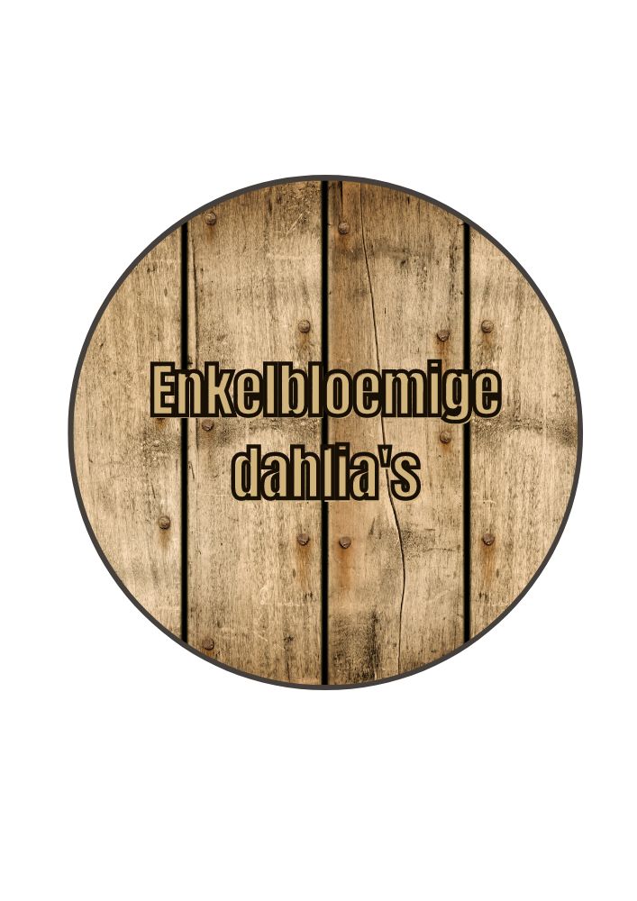 Biologische enkelbloemige dahlia's kopen bij Bloemoloog.nl
