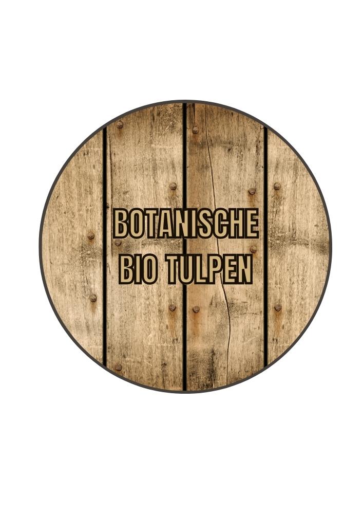 Botanische bio tulpen