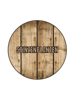 Stinzenplanten