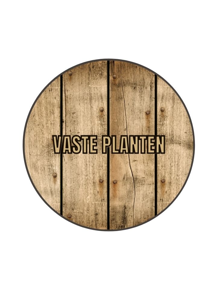 Biologische vaste planten kopen bij Bloemoloog.nl