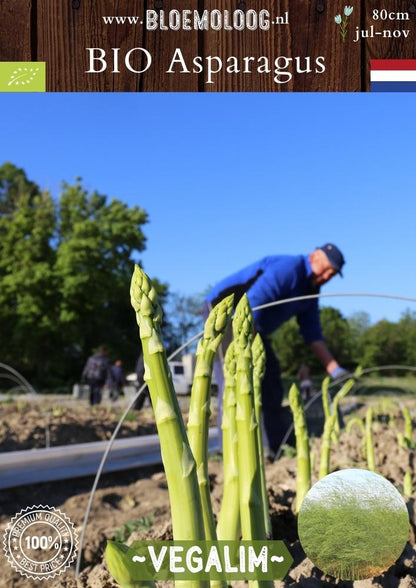 Bio Asparagus 'Vegalim' – Biologische groene asperge, meerjarige groenteplant met hoge opbrengst | Bloemoloog