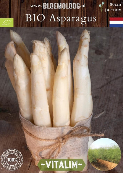 Bio Asparagus 'Vitalim' – Biologische witte asperge, meerjarige groenteplant met hoge opbrengst | Groenteplant – Bloemoloog