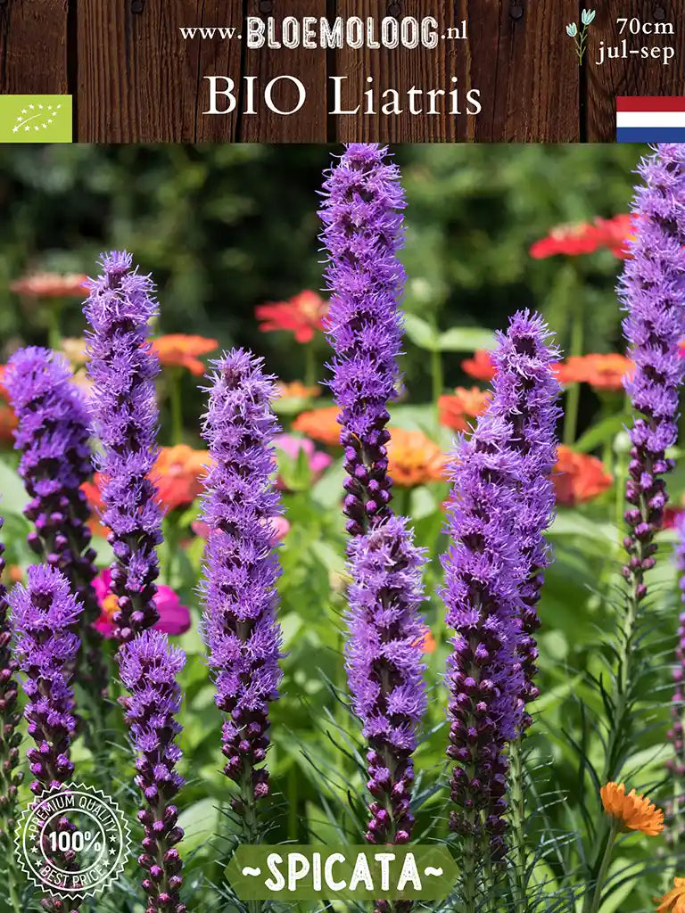 Plantenschaal, plantenbak, bloemenschaal, boomschors decoratie 17cm H9cm Plantenschaal, plantenbak, bloemenschaal, boomschors decoratie 17cm H9cm
