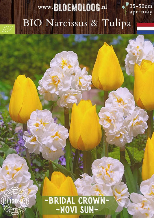 Organic Narcissus 'Bridal Crown &amp; Tulipa 'Muscadet' mix | 20 pcs.