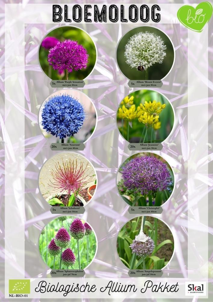 Biologische Allium Pakket Bloemoloog 100 stuks sieruienmix - Bloemoloog