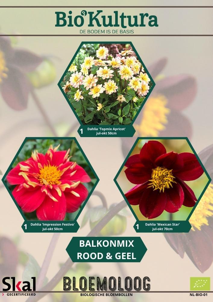 Bio Kultura Selection - Balkonmix dahlia Rood & Geel - Bloemoloog