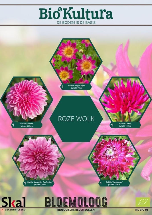 Bio Kultura Selection - Roze Wolk biologische roze dahlia's - Bloemoloog